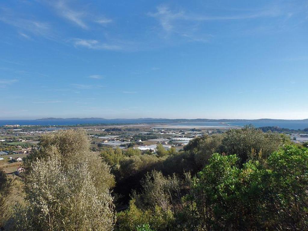 183 HYERES ET SES PALMIERS D15_000048.jpg